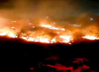 Bomberos atienden llamado de incendio en predio de gran extensión