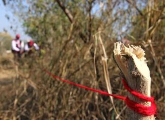 SEDUMA asegura aplicar acciones para frenar venta de terrenos irregulares