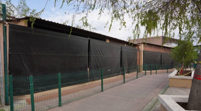 Refuerzan medidas de protección en zoológico durante la temporada invernal