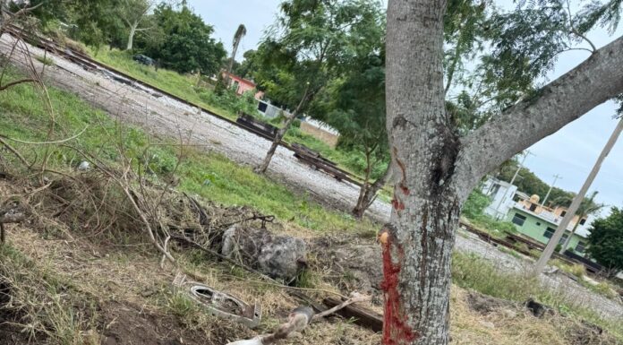 Aplican en Madero 25 sanciones por maltrato animal en 2025 y 2026