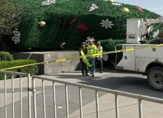 Sin incidentes mayores durante el retiro del pino navideño