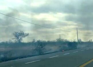 Registran incendio en pastizal a la salida a carretera Monterrey