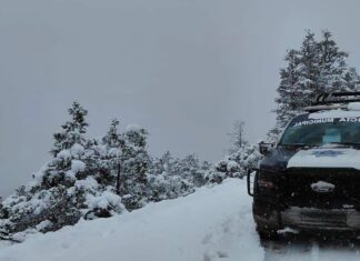 Nevadas por tormenta invernal cubren de blanco Chihuahua y Durango; registran temperaturas bajo cero