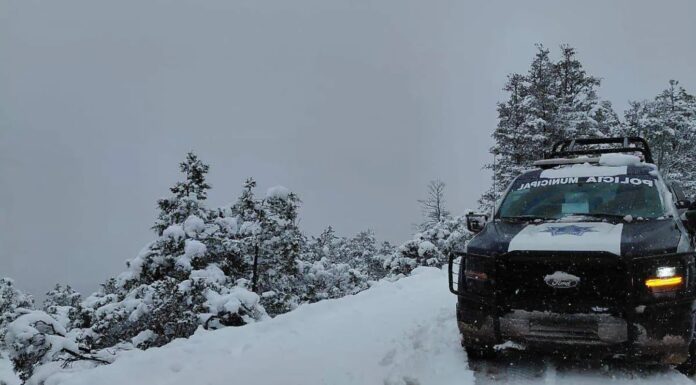 Nevadas por tormenta invernal cubren de blanco Chihuahua y Durango; registran temperaturas bajo cero