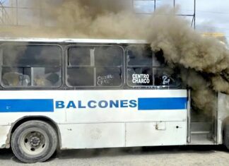 Se quema pecera y deja daños materiales