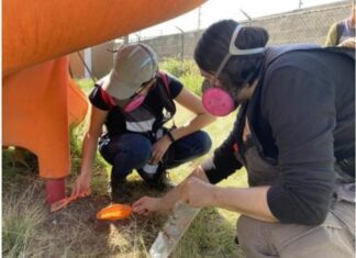 Operan en México al menos 152 empresas ligadas al asbesto: “más desgracias que beneficios”…