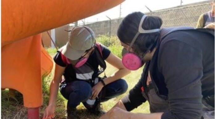 Operan en México al menos 152 empresas ligadas al asbesto: “más desgracias que beneficios”…