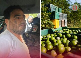 La ‘narcoinflación’ del ‘Botox’: así afectaba al precio de los limones y a tu bolsillo