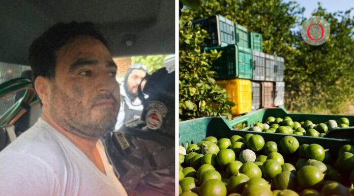 La ‘narcoinflación’ del ‘Botox’: así afectaba al precio de los limones y a tu bolsillo