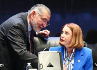 “El Gobierno no debe dirigir las elecciones”: Laura Itzel Castillo