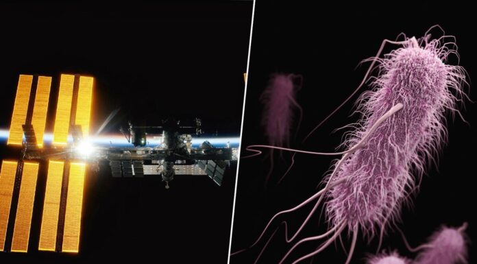 Llevamos años buscando nuevas armas contra las superbacterias. Hemos diseñado una a 400 km de altura