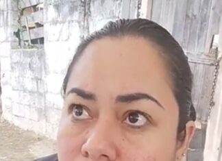 Autoridades dialogarán con propietario perro Husky que agredió a mujer