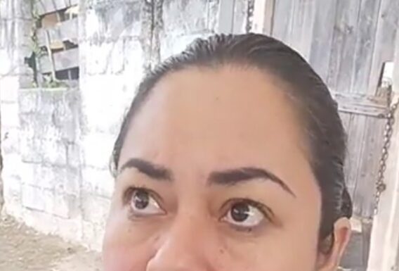 Autoridades dialogarán con propietario perro Husky que agredió a mujer