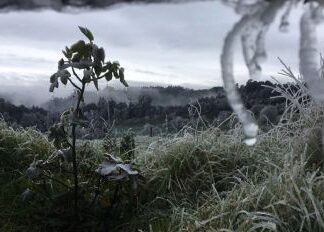 ALERTAN por 5 días más de nevadas, heladas y tormentas para México por Segunda Tormenta Invernal y frentes fríos