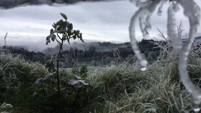 ALERTAN por 5 días más de nevadas, heladas y tormentas para México por Segunda Tormenta Invernal y frentes fríos