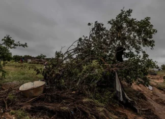Sudáfrica declara desastre nacional por lluvias e inundaciones