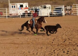 Realizan competencias estatales rumbo a la Olimpiada Nacional CONADE 2026