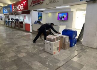 Guardia Estatal refuerza vigilancia con binomios caninos en la Central de Autobuses de Victoria