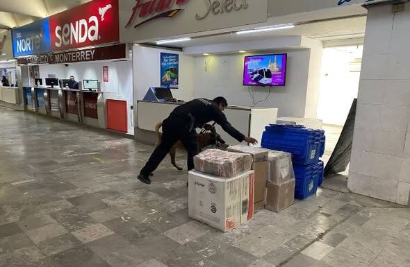 Guardia Estatal refuerza vigilancia con binomios caninos en la Central de Autobuses de Victoria