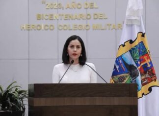 Protegen a mascotas familiares en casos de divorcios o separación