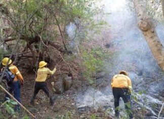 Hay 22 incendios activos en 11 estados del país, reporta Conafor