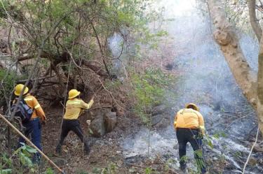 Hay 22 incendios activos en 11 estados del país, reporta Conafor