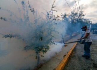 Casos de dengue se duplican en México en tan sólo una semana
