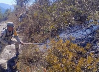 Avanza al 70 % el control del incendio forestal “Puerto del Volcán” en Miquihuana