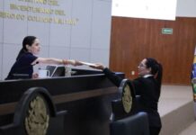 Omisión de pensión alimenticia será violencia económica