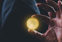 Alianza silenciosa: Redes chinas lavan dinero del Cártel de Sinaloa con criptomonedas, WhatsApp y WeChat