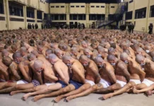 Bukele arremete contra activistas y ONG que cuestionan su política de seguridad