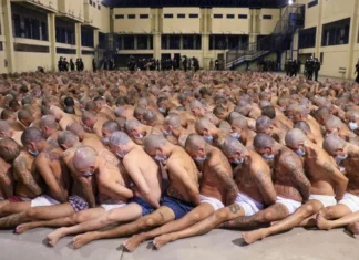 Bukele arremete contra activistas y ONG que cuestionan su política de seguridad