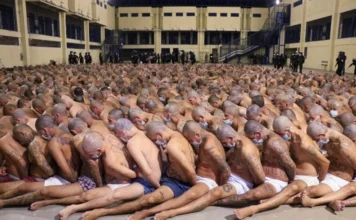 Bukele arremete contra activistas y ONG que cuestionan su política de seguridad