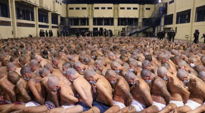 Bukele arremete contra activistas y ONG que cuestionan su política de seguridad