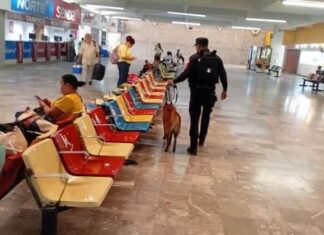 Fortalece Guardia Estatal vigilancia en central de autobuses