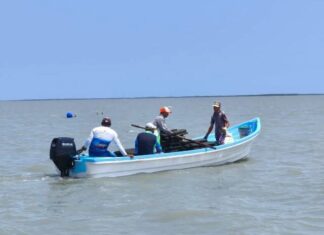 Refuerzan acciones para el crecimiento sostenible del ostión en Aldama