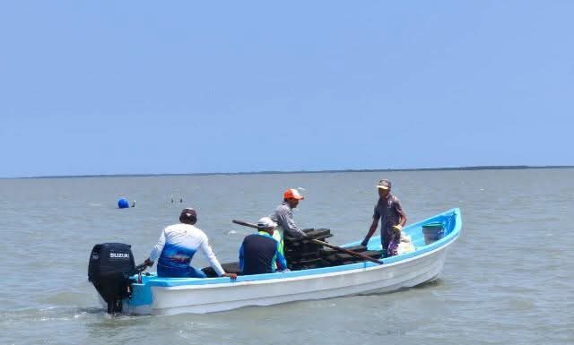 Refuerzan acciones para el crecimiento sostenible del ostión en Aldama