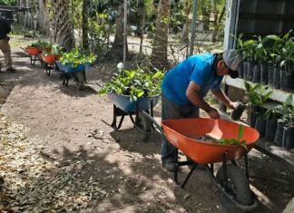 Nuevo Laredo avanza hacia un entorno más verde y sustentable