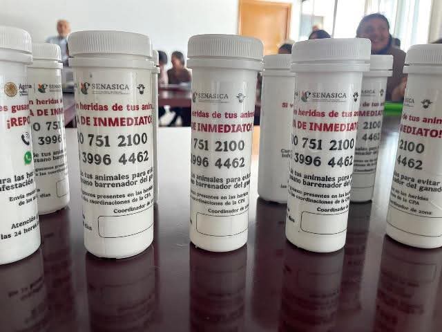 FB_IMG_1775846826567