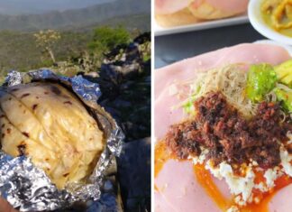 Conoce el Top 10 de los sabores que enamoran de Tamaulipas