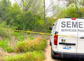 Hallan restos óseos de humano en la tétrica colonia Puerta Sur