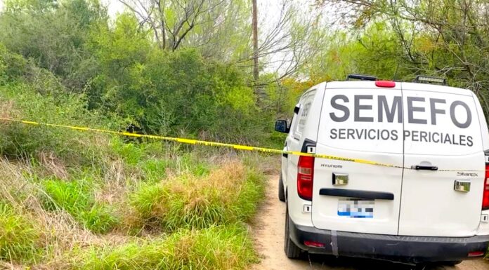 Hallan restos óseos de humano en la tétrica colonia Puerta Sur