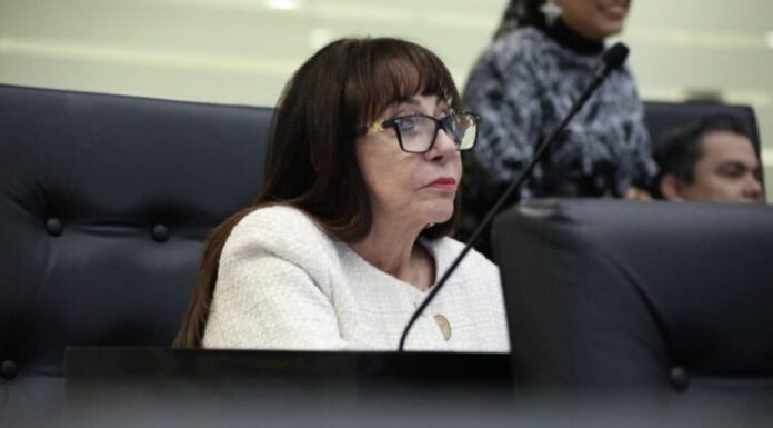 Blanca Anzaldúa cuestiona a la SET sobre protección a docentes durante sesión de comparecencias