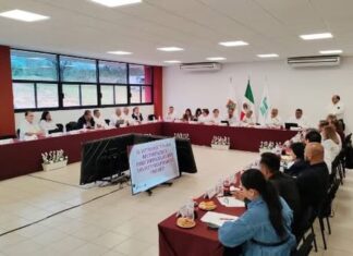Rralizan Segunda Sesión Ordinaria COEPES