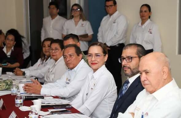 Evalúa Comando Interinstitucional del Sector Salud programas preventivos y de atención a la población