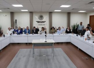 Aprobación Unánime al Dictamen Sobre la Reforma Electoral