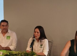 Partido Verde no respaldará perfiles ligados a la narcopolítica: Karen Castrejón