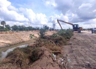 Alerta Centro Antirrábico por proliferación de garrapatas ante altas temperaturas en Reynosa