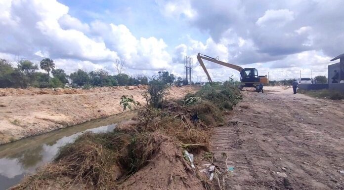 Alerta Centro Antirrábico por proliferación de garrapatas ante altas temperaturas en Reynosa