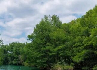 Exortan a preservar y valorar los espacios naturales